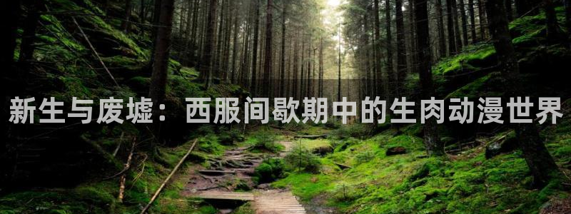 有什么好看的里番动漫吗