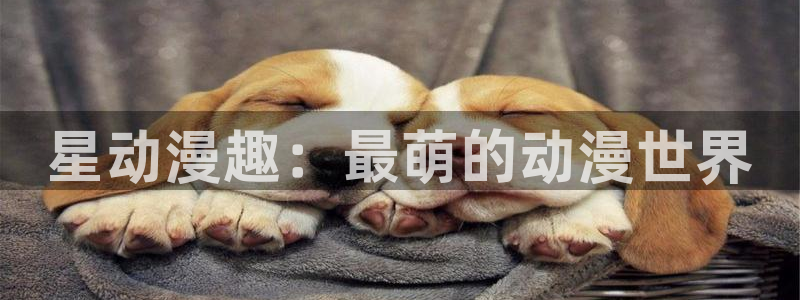 动漫免费里番：星动漫趣：最萌的动漫世界