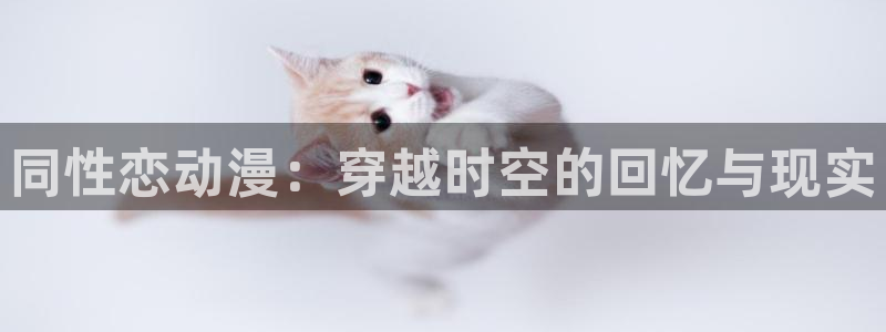 动漫里番资源：同性恋动漫：穿越时空的回忆与现实
