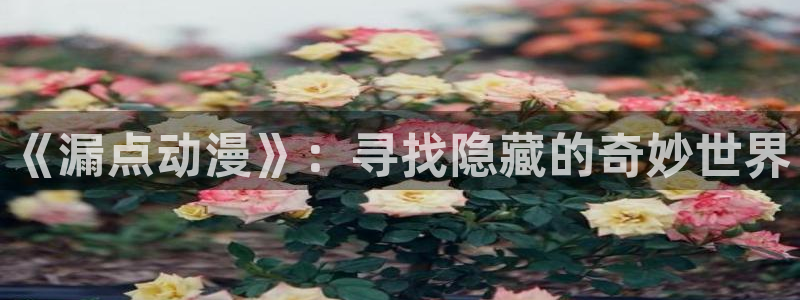 里番动漫观看网站
