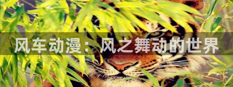 里番名字