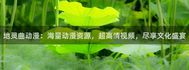 最新里番动漫观看