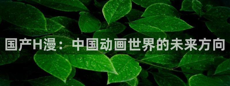 日漫里番在线观看：国产H漫：中国动画世界的未来方向