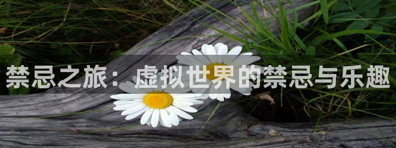 黑兽里番动漫