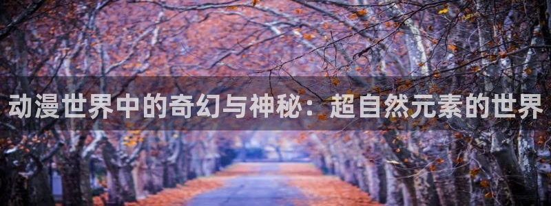 2026年里番动漫：动漫世界中的奇幻与神秘：超自然元素的世界