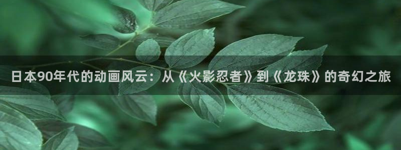 里番绅士全彩漫画：日本90年代的动画风云：从《火影忍者》到《龙珠》的奇幻之旅