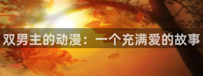 acg动漫里番：双男主的动漫：一个充满爱的故事