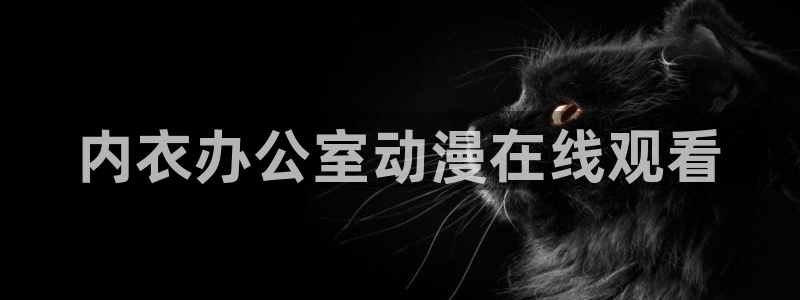 h里番动漫：内衣办公室动漫在线观看