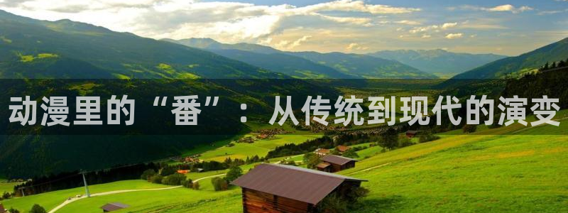 里番 动画：动漫里的“番”：从传统到现代的演变