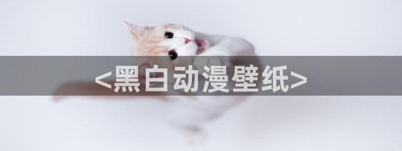 里番动漫视频：<黑白动漫壁纸>