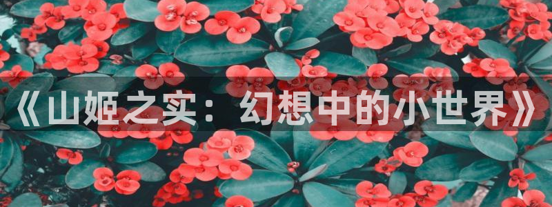 海贼王里番漫画：《山姬之实：幻想中的小世界》