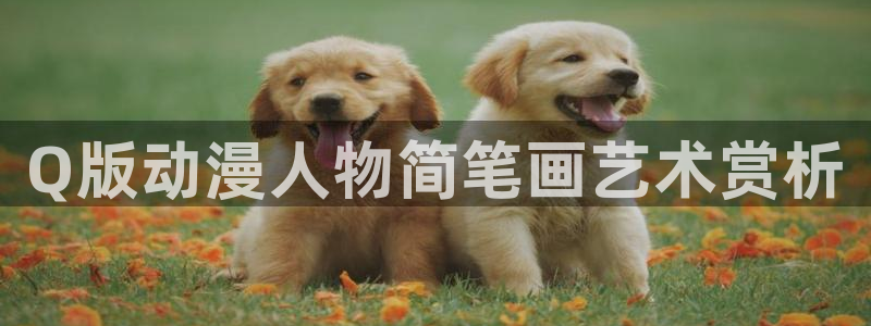 在线观看动漫里番：Q版动漫人物简笔画艺术赏析