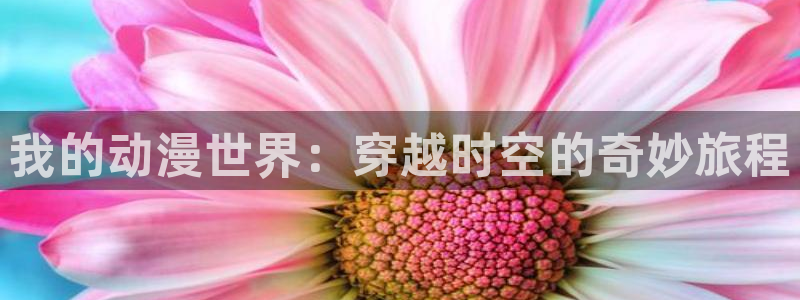 肉里番漫画：我的动漫世界：穿越时空的奇妙旅程