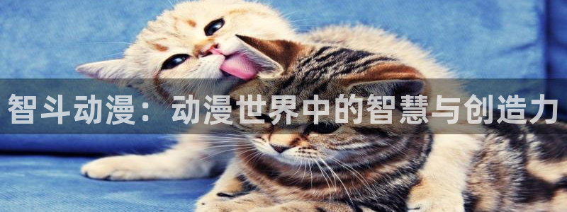 里番动漫风车：智斗动漫：动漫世界中的智慧与创造力