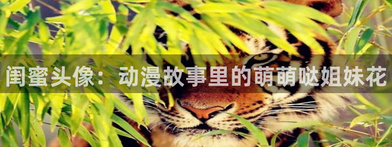 里番经典动漫：闺蜜头像：动漫故事里的萌萌哒姐妹花