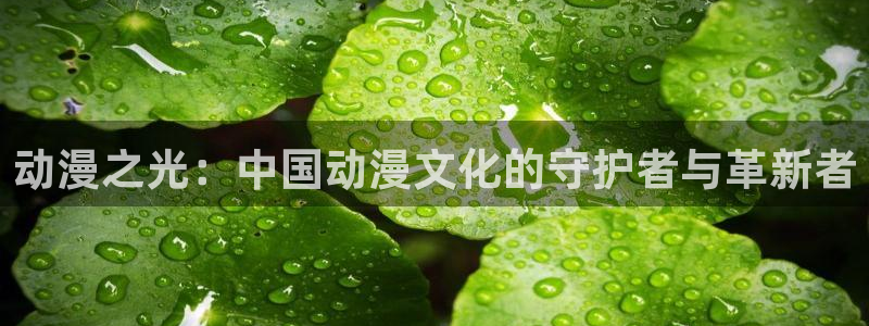 里番动漫网站在线：动漫之光：中国动漫文化的守护者与革新者
