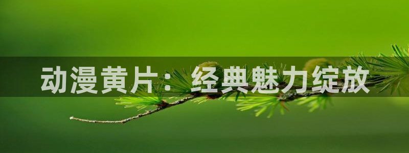 里番有哪些动漫：动漫黄片：经典魅力绽放