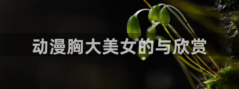 3d动漫旧里番