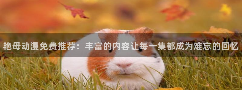 里番 动漫在线观看