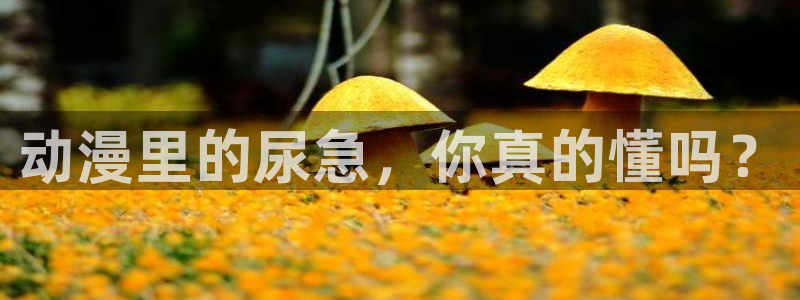 里番推荐动漫