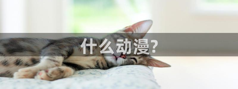 最新里番动漫网