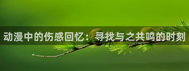 动漫里番去哪看
