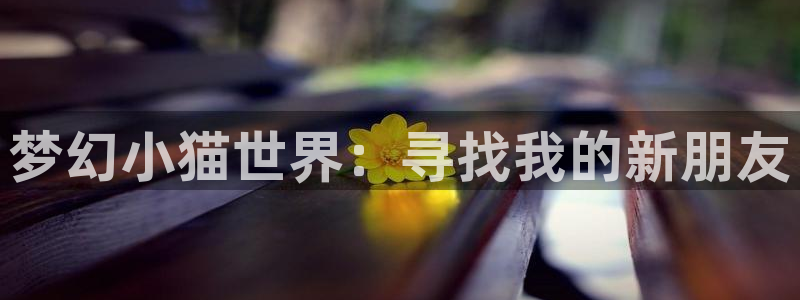 里番动漫,
