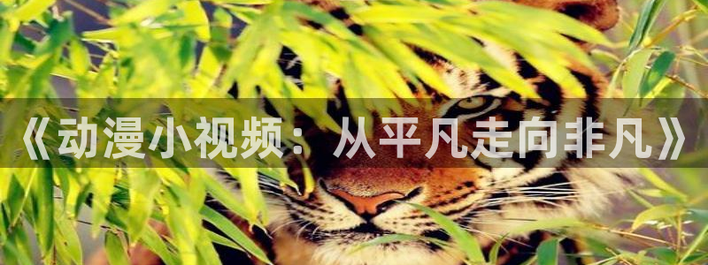 类似黑兽里番的动漫