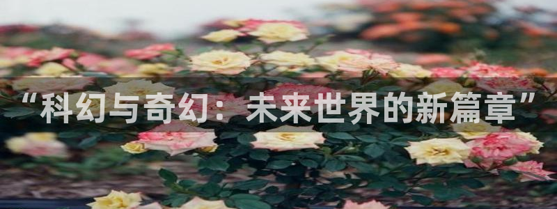 里番动漫网站在线观看